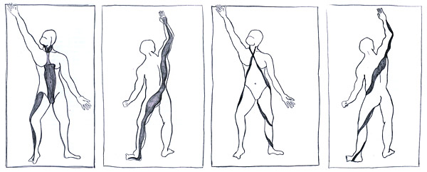 myoreflextherapie muskelzusammenhänge